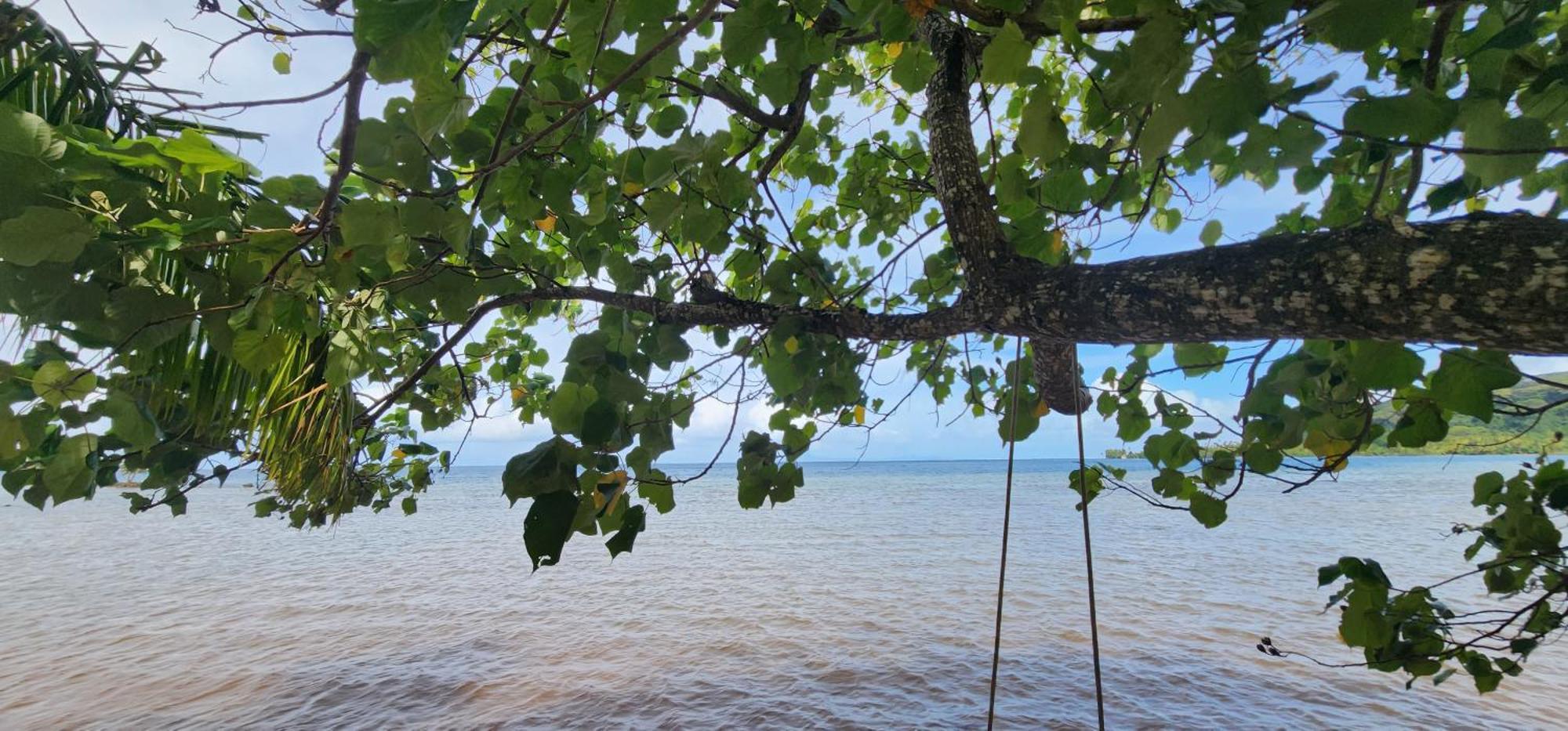 Vila Fare Mama Rota - Au Bord De L'Ocean Taputapuapea Exteriér fotografie