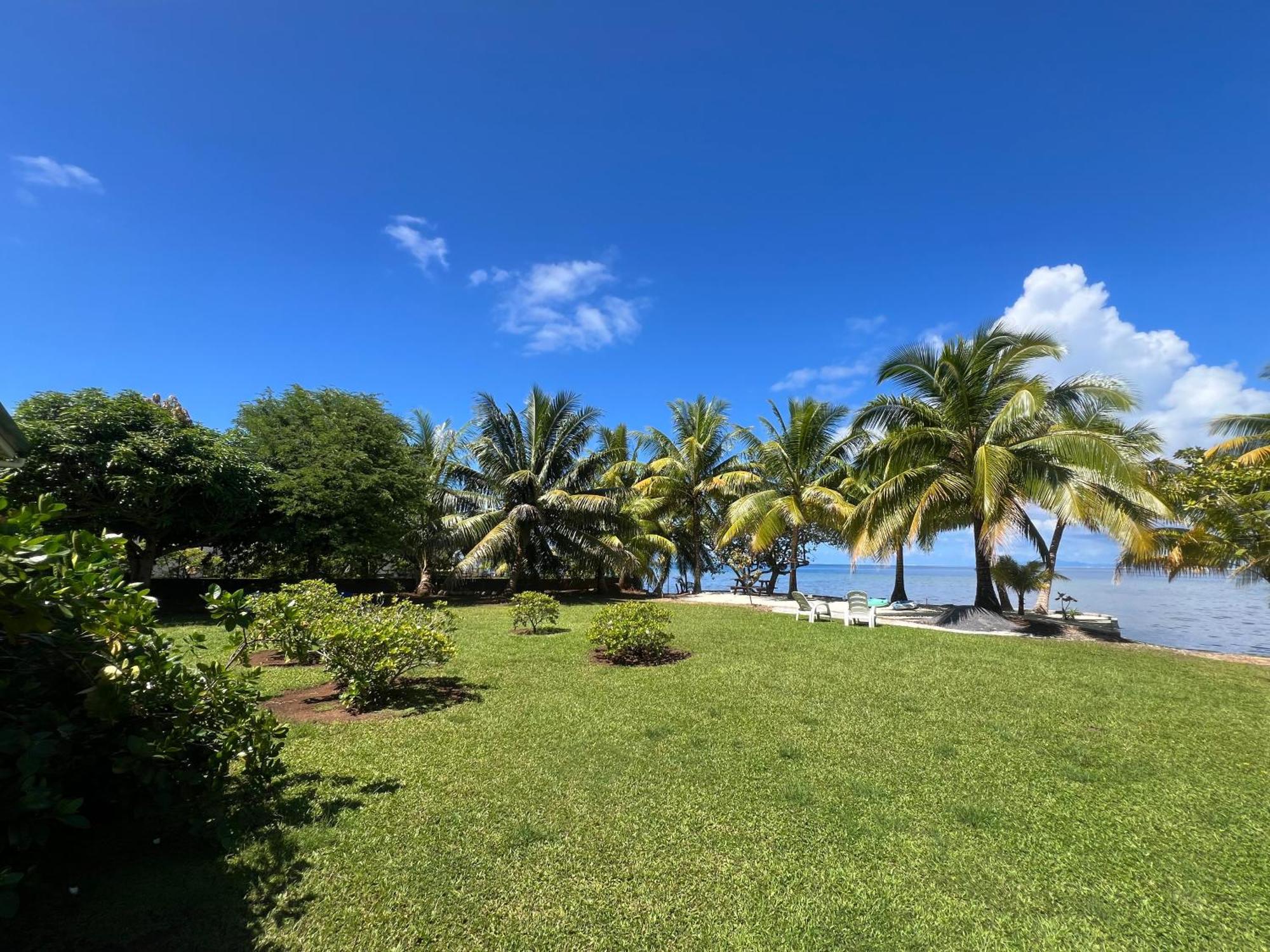 Vila Fare Mama Rota - Au Bord De L'Ocean Taputapuapea Exteriér fotografie
