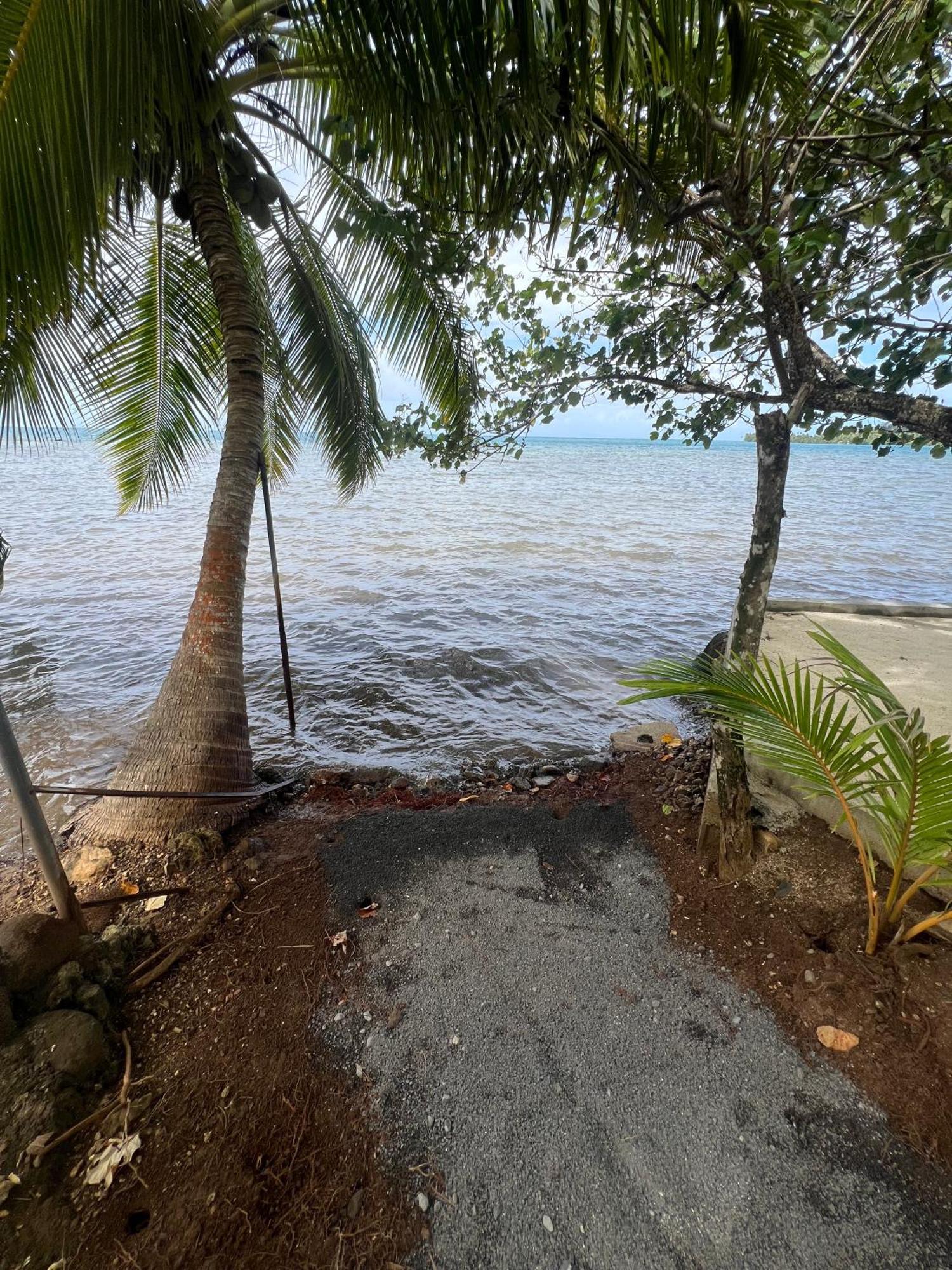 Vila Fare Mama Rota - Au Bord De L'Ocean Taputapuapea Exteriér fotografie